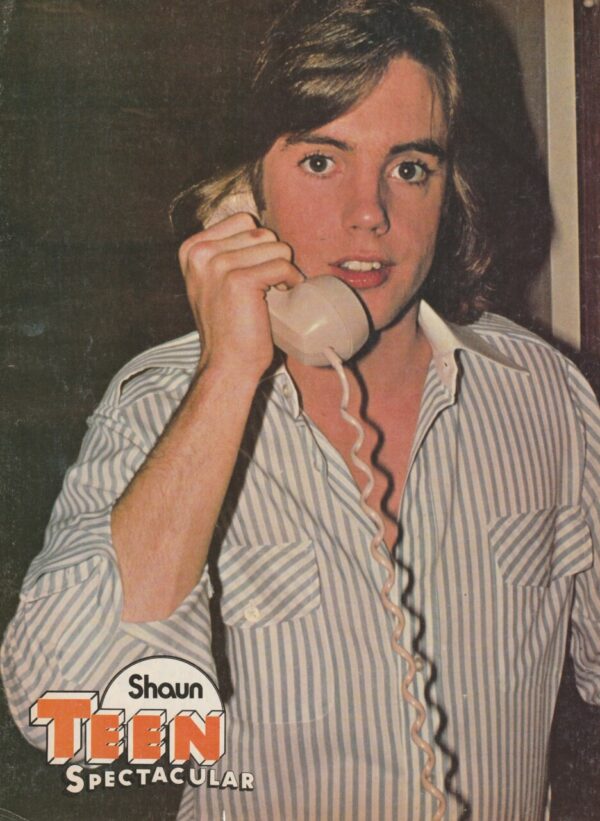 Bee Gees Shaun Cassidy teen magazine pinup clipping phone call Teen Spectacular