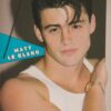 Matt Leblanc Brian Bloom teen magazine pinup muscles