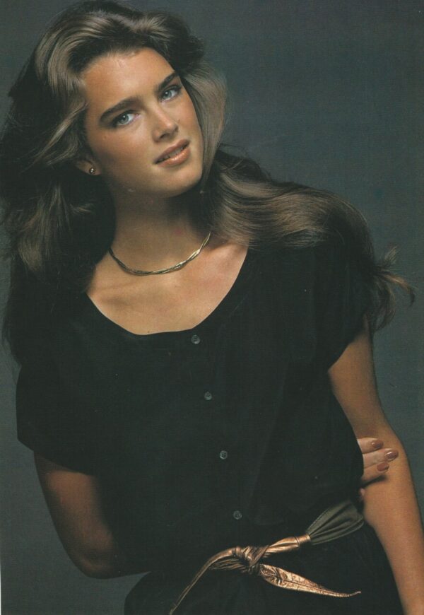 Brooke Shields teen magazine pinup clipping silk hair pix