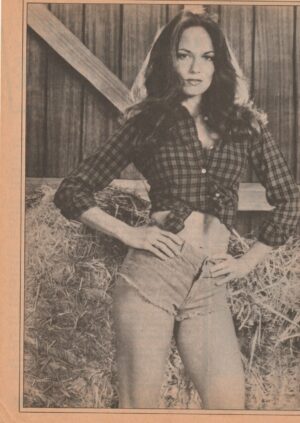 Catherine Bach Cathy Bach teen magazine pinup jean shorts hottie