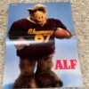 Rob Lowe Alf teen magazine poster clipping pix Bravo Teen Beat eyes Tiger Beat - Image 2