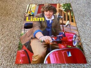 Liam Payne Niall Horan One Direction teen magazine poster clipping hot RIP Bop