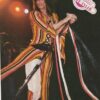 Shaun Cassidy Steven Tyler teen magazine pinup clipping Superteen stage tour