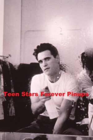 Matt Dillon 4×6 or 8×10 Photo vintage mirror 1980's Teen Idols photo shoot white shirt