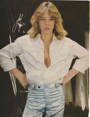 Leif Garrett teen magazine pinup clipping silver tight pants white open shirt hands on hips