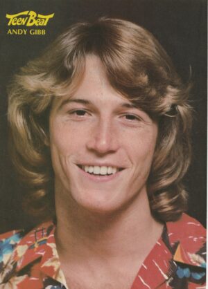 Andy Gibb tee nmagazine pinup close up Teen Beat