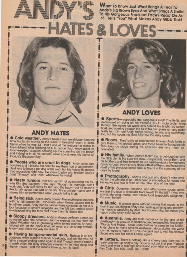 Andy Gibb teen magazine pinup clipping Andy hates loves Teen Beat