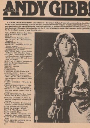 Andy Gibb teen magazine clipping Lowdown on