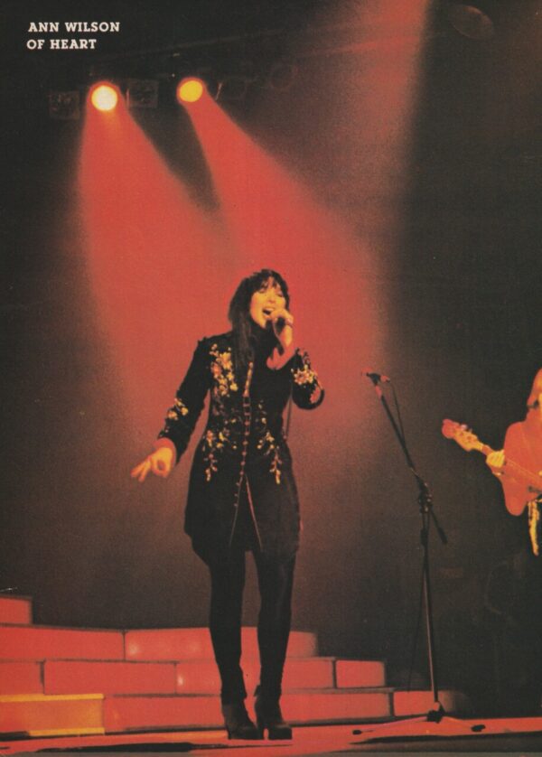 Ann Wilson pinup stage tour