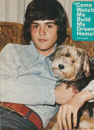 Donny Osmond teen magazine pinup couch young puppy brown belt Teen Beat