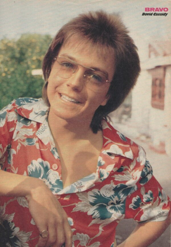 David Cassidy teen magazine pinup clipping flower shirt Bravo glasses