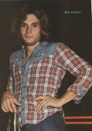 Rex Smith teen magazine pinup jeans flannel shirt Teen Beat