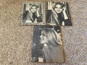 Peggy Lipton teen magazine pinup clippings lot Teen Beat Bop Tiger Beat Pix