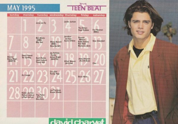 David Charvet Joey Lawrence teen magazine pinup clipping Teen Beat Calendar 1993 - Image 2