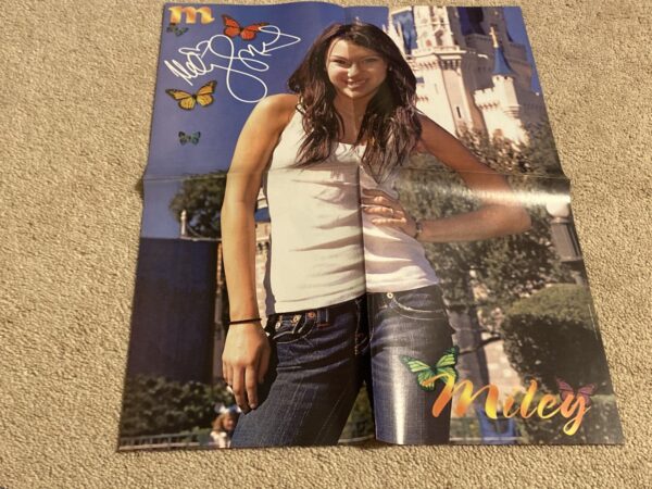 Miley Cyrus Zac Efron teen magazine poster Disney World castle M