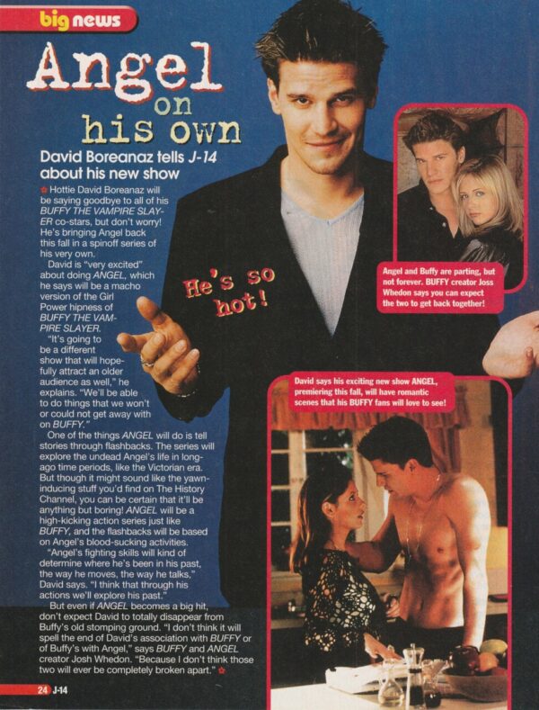 David Boreanaz teen magazine pinup clipping on his own J-14