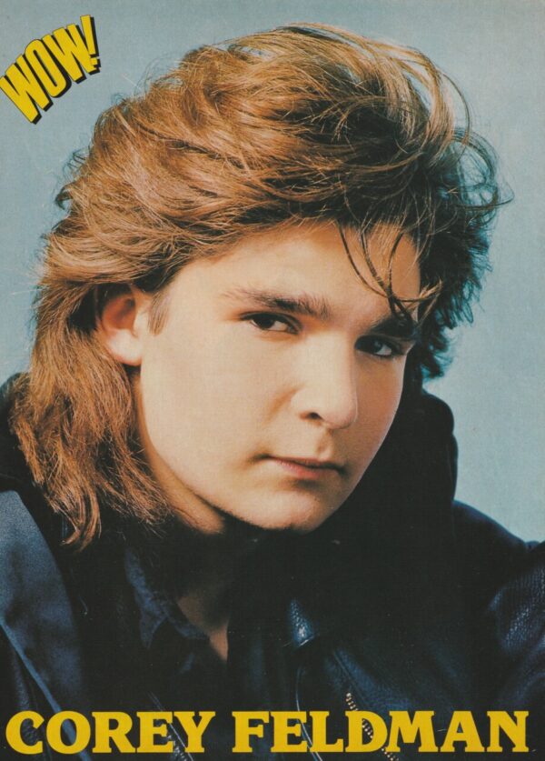 Chad Allen Corey Feldman teen magazine pinup clipping guitar Wow pix picture - Image 2