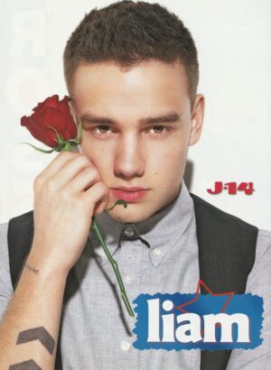 Liam Payne One Direction Ross Lynch teen magazine pinup clipping rose Rip J-14