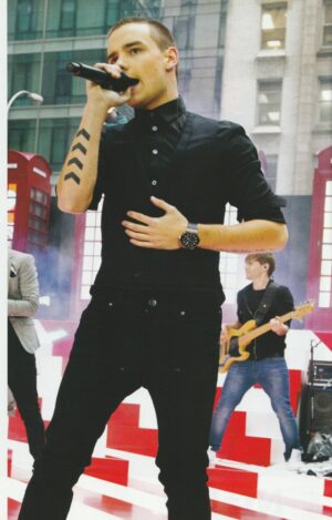 Liam Payne Niall Horan One Direction teen magazine pinup clipping Japan pix