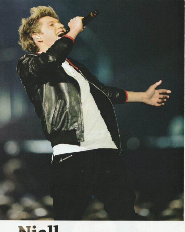 Liam Payne Niall Horan One Direction teen magazine pinup clipping Japan pix - Image 2