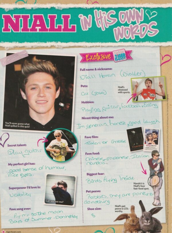 Harry Styles Niall Horan One Direction teen magazine pinup clipping Words pix - Image 2
