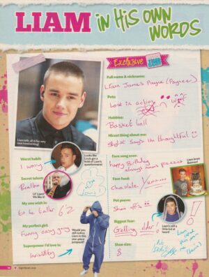 Liam Payne Louis Tomlinson One Direction teen magazine pinup clipping Words pix