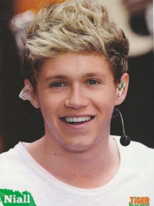 Niall Horan teen magazine pinup clipping One Direction headshot Tiger Beat