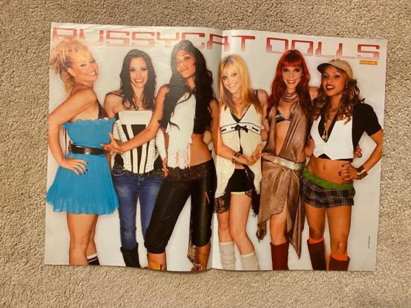 Pussycat Dolls Simple Plan magazine poster clipping pix full body pix Popcorn - Image 2