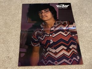 Robby Benson teen magazine poster clipping vintage Teen Beat shadows pic