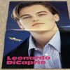 Leonardo Dicaprio Daniel Johns teen magazine poster clipping vintage Silverchair - Image 2