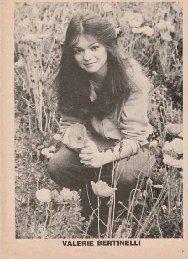 Jimmy Mcnichol Valerie Bertinelli teen magazine pinup clipping shirtless pix - Image 2