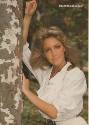 Heather Locklear David Hasselhoff teen magazine pinup clipping tree Teen Machine