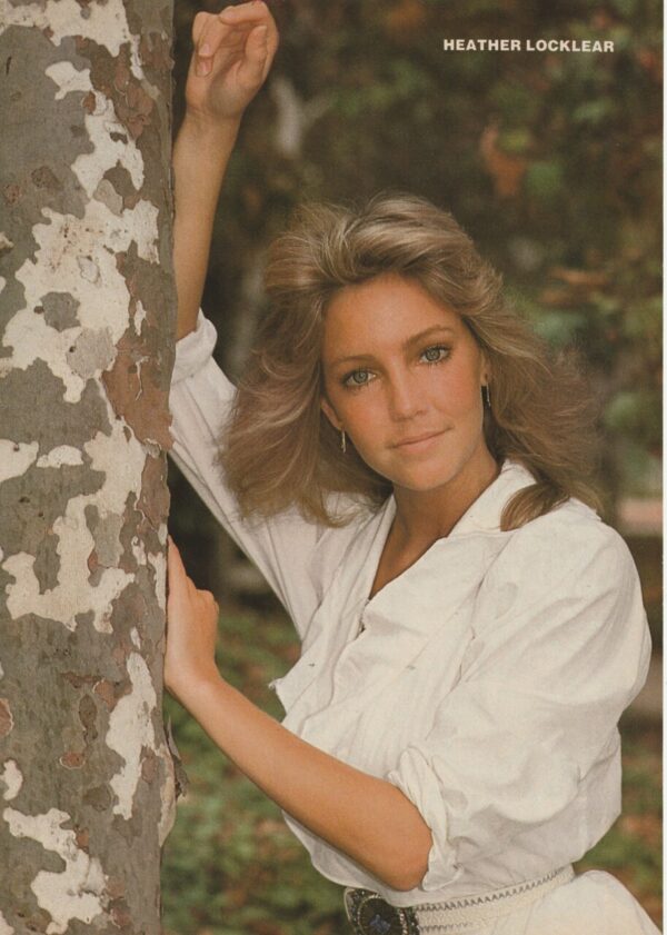 Heather Locklear David Hasselhoff teen magazine pinup clipping tree Teen Machine