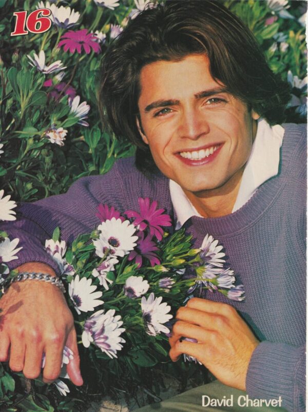 David Charvet David Lascher teen magazine pinup clipping flowers Baywatch pix - Image 2