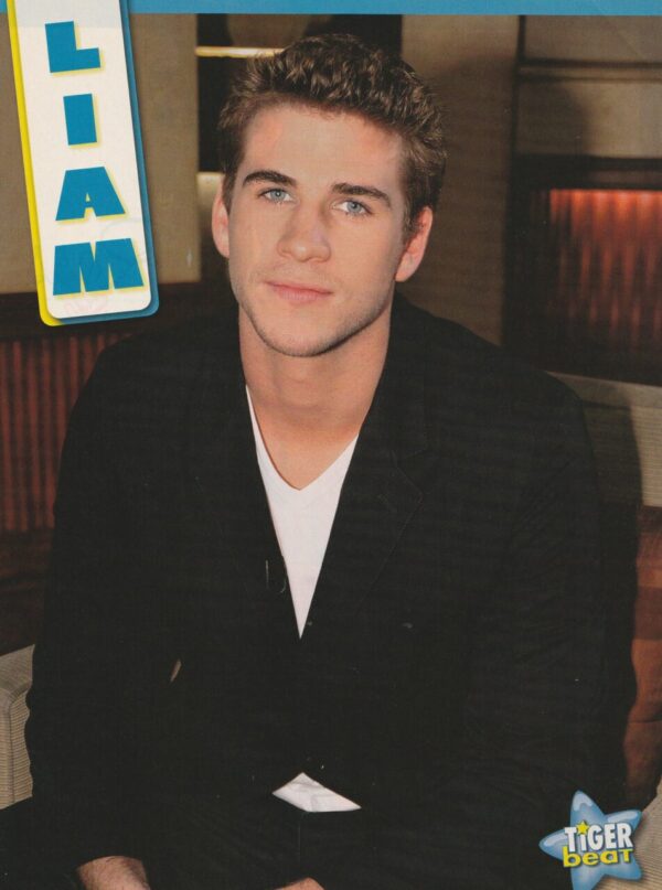 Ross Lynch Liam Hemsworth teen magazine pinup guitar Tiger Beat pix - Image 2
