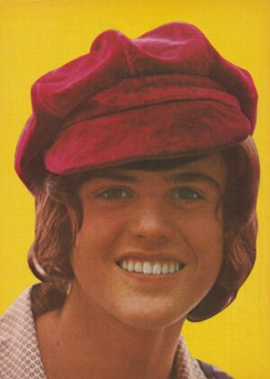 Donny Osmond teen magazine pinup clipping hat Teen Beat