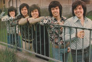 Donny Osmond Osmonds teen magazine pinup grass modeling hot