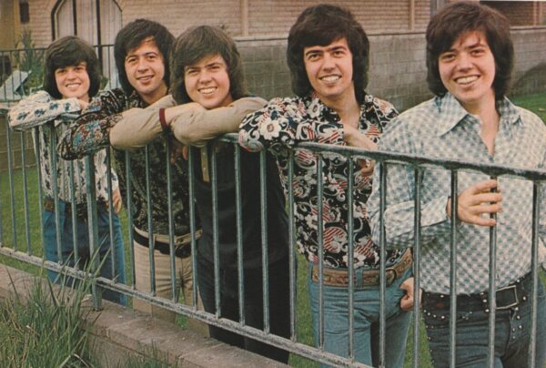 Donny Osmond Osmonds teen magazine pinup grass modeling hot