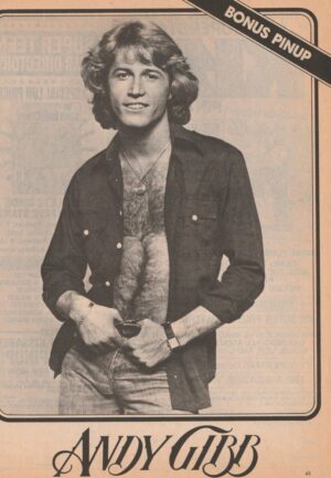 Andy Gibb teen magazine pinup clipping shirtless open shirt Teen Beat