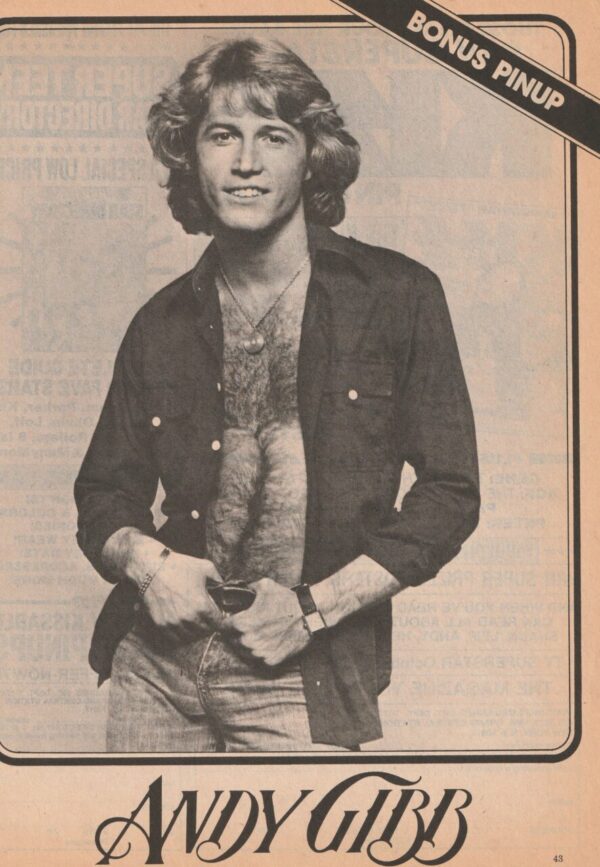 Andy Gibb teen magazine pinup clipping shirtless open shirt Teen Beat