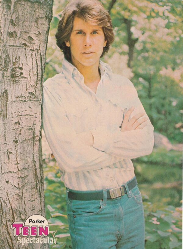 Andy Gibb Parker Stevenson teen magazine pinup shirtless black watch Tiger Beat - Image 2