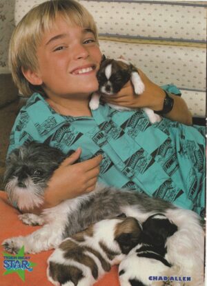 Chad Allen teen magazine pinup clipping Star kittens pix home Bop picture