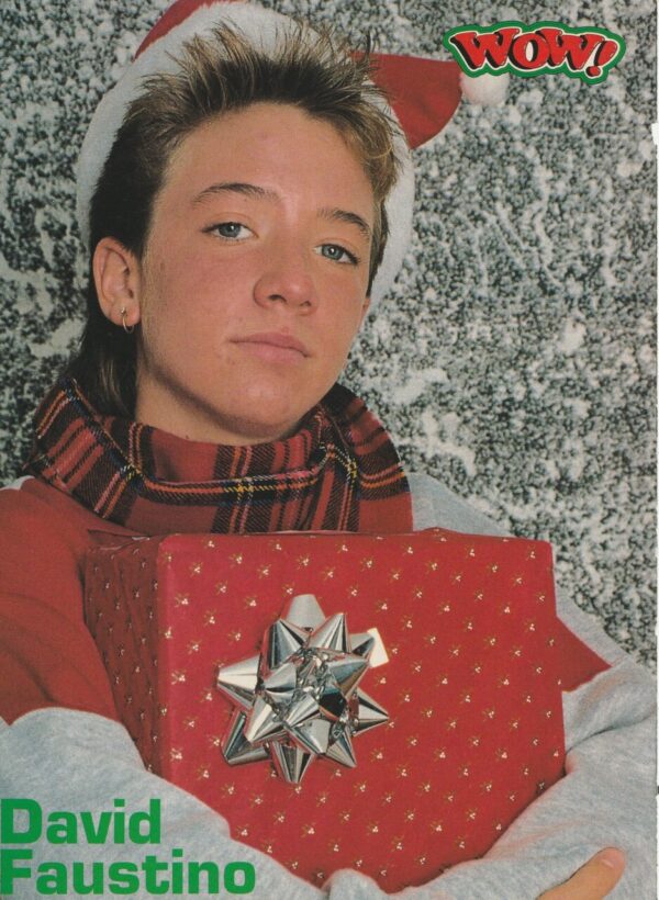 David Faustino Fred Savage teen magazine pinup clipping Wow Christmas pix