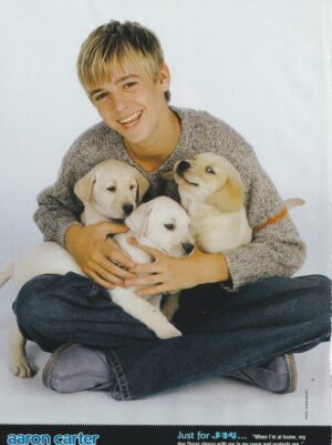 Aaron Carter JC Chasez Nsync teen magazine pinup puppies J-14