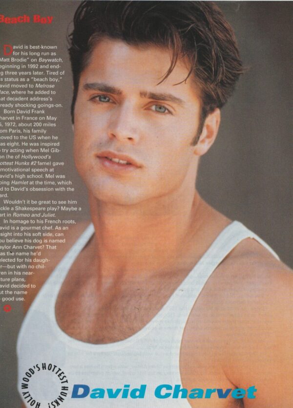 David Charvet teen magazine pinup clipping Baywatch muscles tank white tank top Pop Star