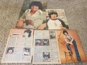 Tony Defranco teen magazine pinup clippings lot Tiger Beat Teen Beat pix