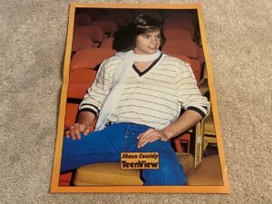 Shaun Cassidy teen magazine poster clipping white shirt open lets Teen Set pix