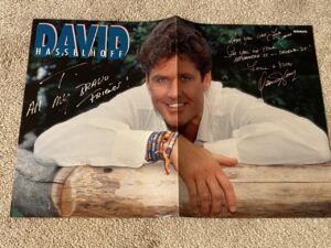 David Hasselhoff teen magazine poster clipping wood fence Bravo Baywatch pix