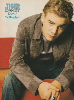 David Gallagher teen magazine pinup clipping older ring red couch Tiger Beat pix