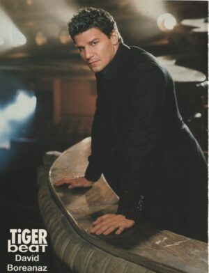 David Boreanaz teen magazine pinup clipping dark side Tiger Beat night time